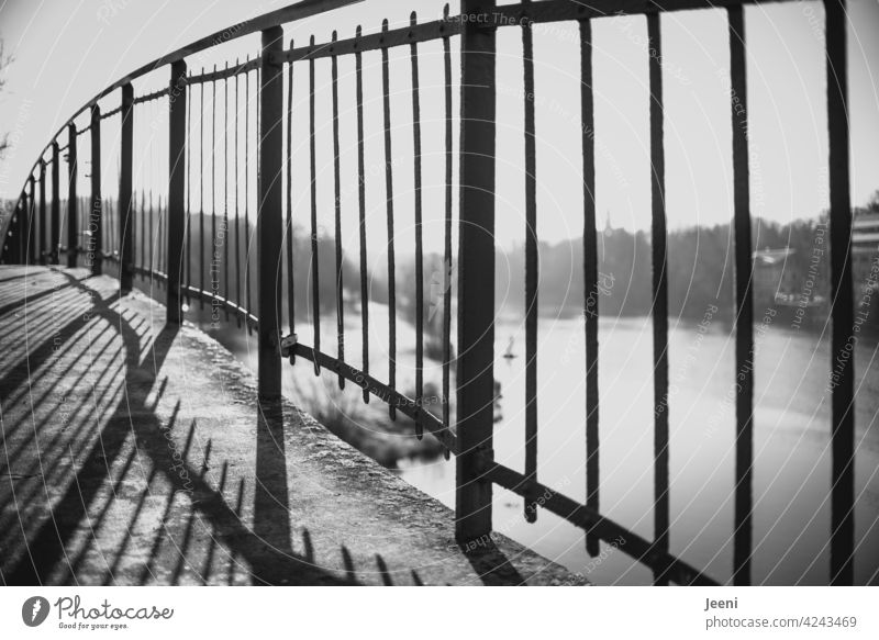 Bridge over the river Bridge railing Metal Stone Shadow shadow cast Shadow play Sunlight Grating Fog Tall Saale Water Body of water flexed Side by side lines