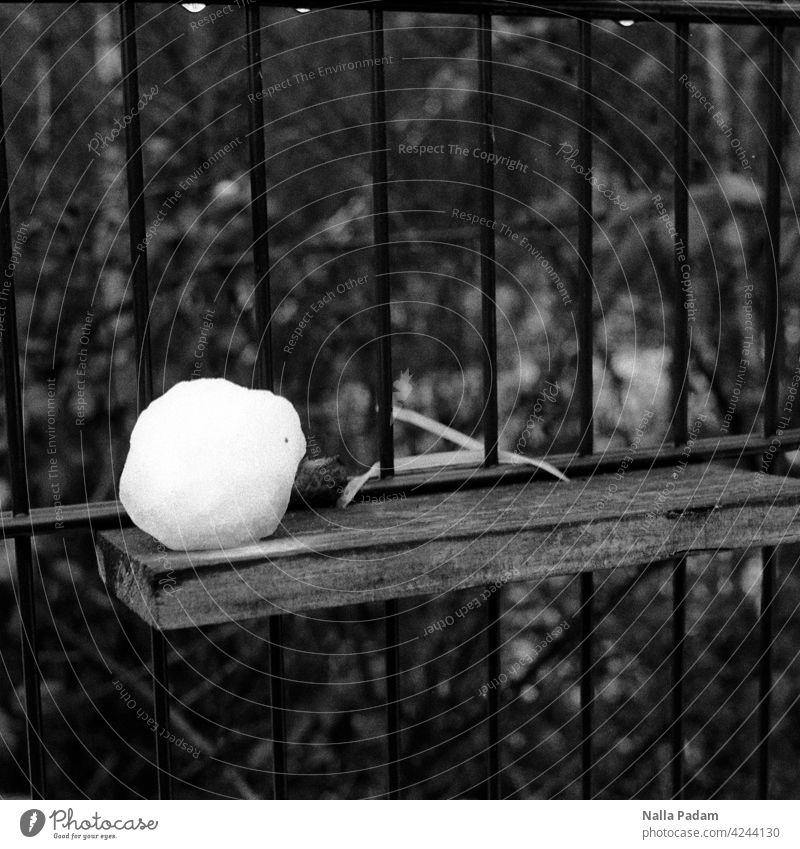 Snowball counter (for hot days) Analog Analogue photo B/W Black & white photo Ball board Fence Cold Ice Sphere Rack Exterior shot Winter