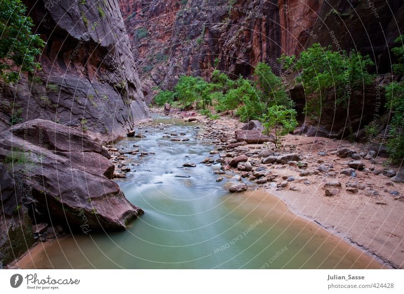 The Narrows Environment Nature Landscape Plant Sand Water Canyon Uniqueness Utah Zion Nationalpark River Long exposure American Flag Calm Relaxation Stone