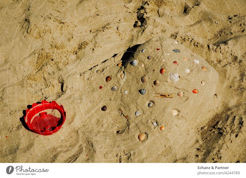 red sieve and shells on the beach Sandcastle Beach Sieve Playing vacation family vacation Relaxation recover Vacation & Travel Summer Ocean Exterior shot