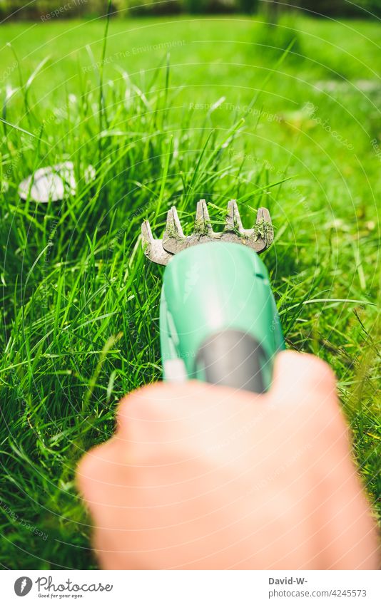 trim the lawn Lawn Garden Gardening Lawn trimmer do gardening Accuracy Meticulous akora accurate Man cut Gardener Green