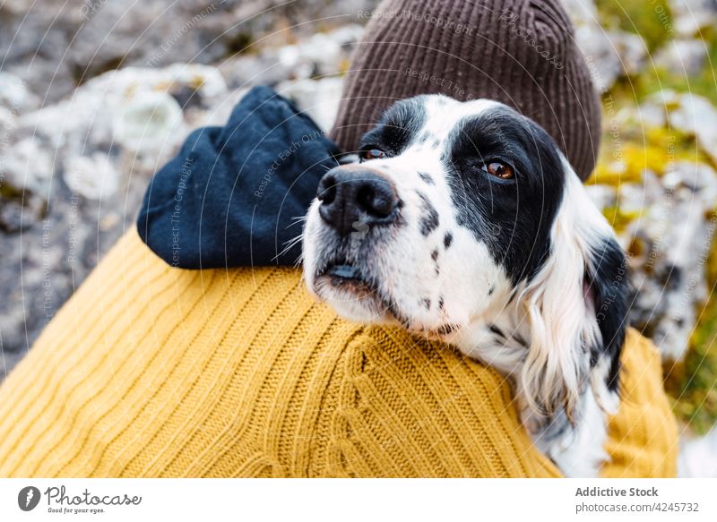 Obedient dog and owner embracing in mountains embrace travel nature together love close kind friend domestic companion mammal obedient cute peaks of europe