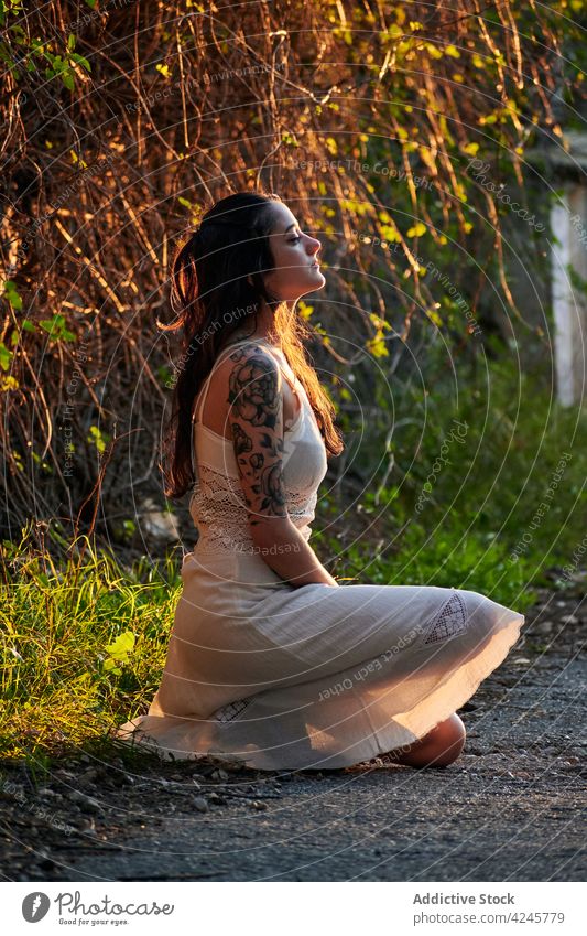 Young tattooed female on meadow woman dream lawn nature summer tranquil peaceful romantic pensive rest countryside thoughtful white dress serene young rural