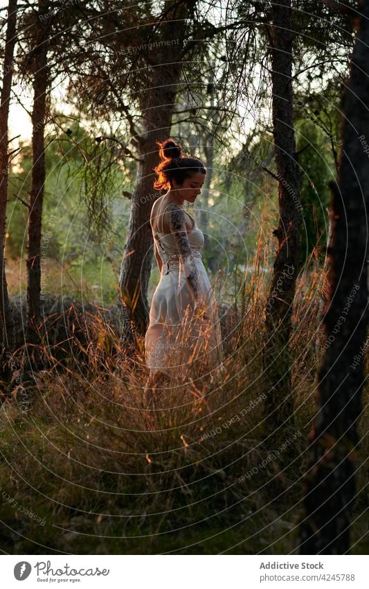 Young lady among trees in sunset woman dream forest white dress calm woods sundown tranquil summer evening solitude peace gentle peaceful serene harmony