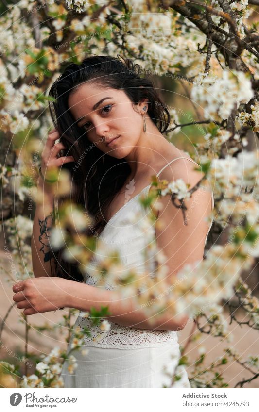 Romantic woman among blooming branches tree romantic white dress calm charming gentle style flora beautiful summer nature plant blossom flower young female