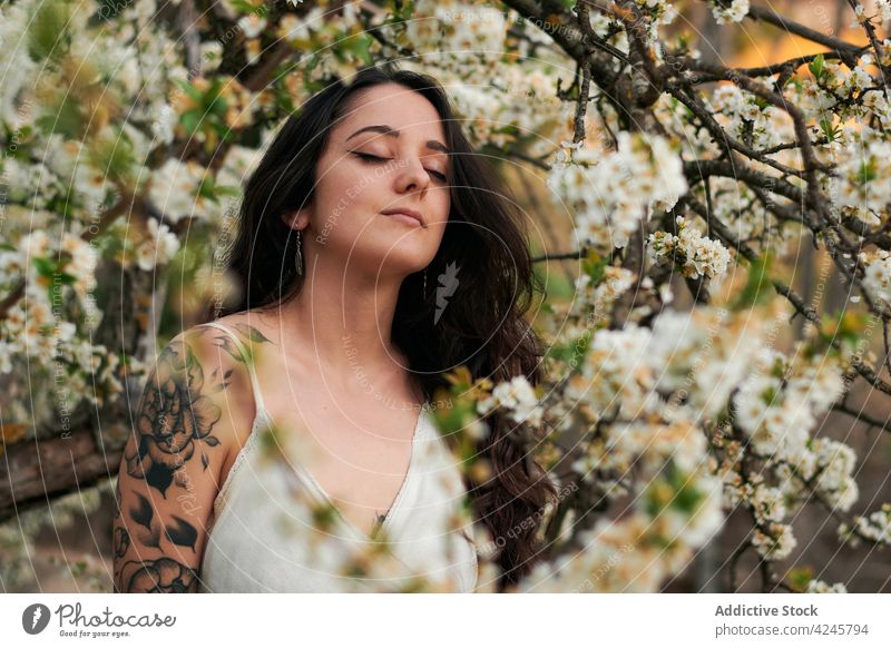 Romantic woman among blooming branches tree romantic white dress calm charming gentle style flora beautiful summer nature plant blossom flower young female