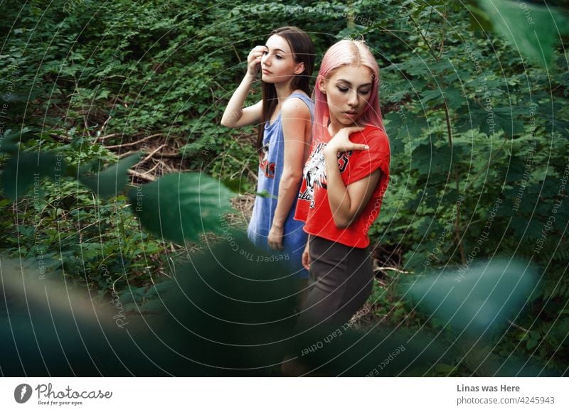 While being lost in the woods can be a frightening experience, surviving alone in the wild is generally a matter of logic, calmness, patience, and your beautiful face. Like these two gorgeous girls have. Hiding game in the woods with two muses.