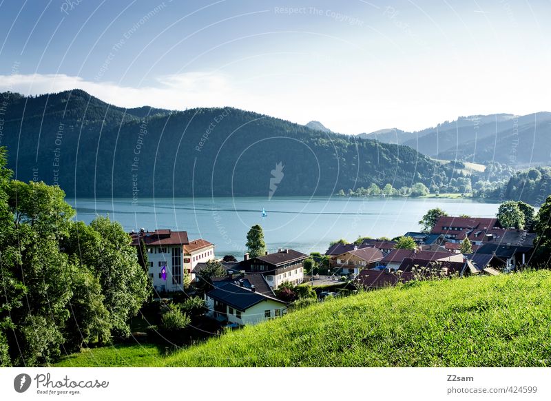 Schliersee Nature Landscape Cloudless sky Summer Beautiful weather Meadow Alps Mountain Lake Village Town Building Esthetic Far-off places Blue Green Serene