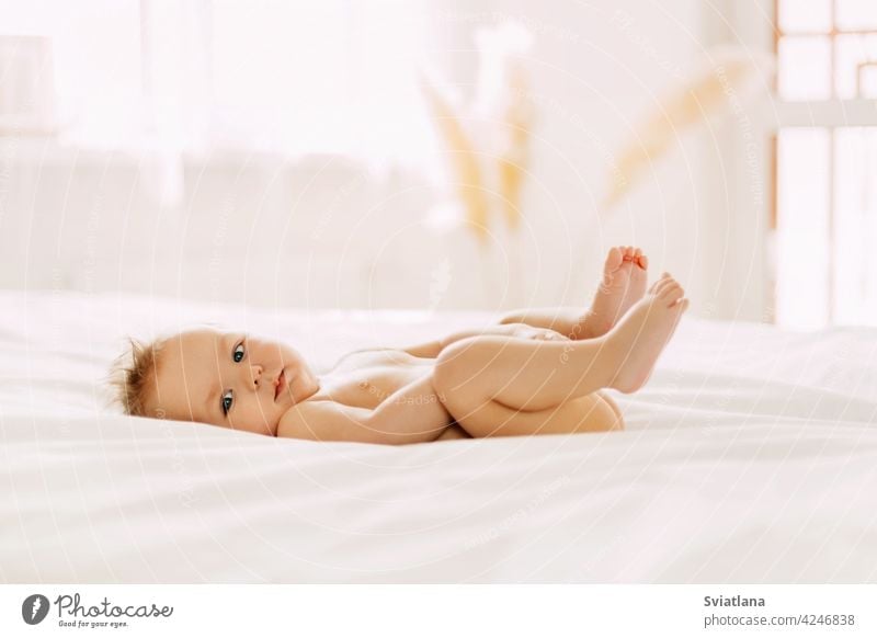 Portrait of a charming little child lying on a blanket on his back and looking at the camera. Baby, baby, childhood portrait cute down bed small home beautiful