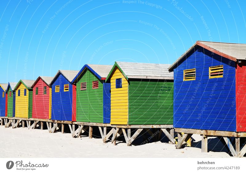 color contest | primary colors Yellow Green Blue Red To enjoy Dream Cape Town Vacation & Travel Freedom Nature Far-off places Trip Adventure Tourism Sky coast