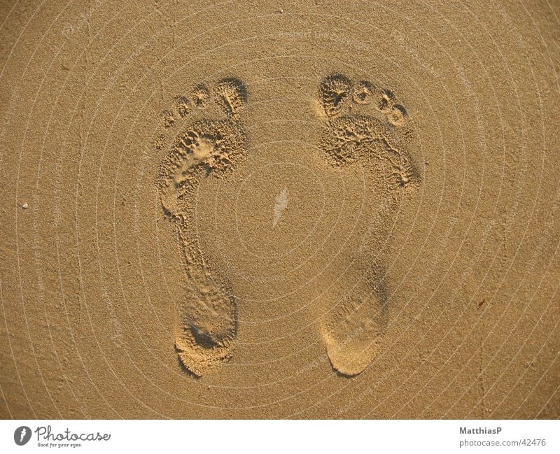 Feet in the sand Footprint Ocean Summer Beach Toes Small Large 2 Going Stand Man Together Human being coast sand foot Embossing Sun Walking Sit Partner In pairs