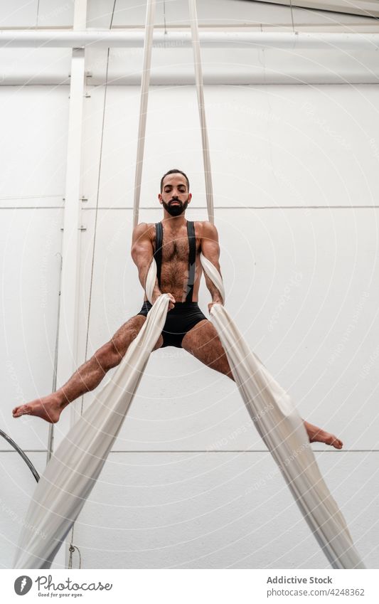 Focused sportsman hanging on aerial silks skill training strong exercise fit workout above ground fitness gym effort strength physical energy motivation