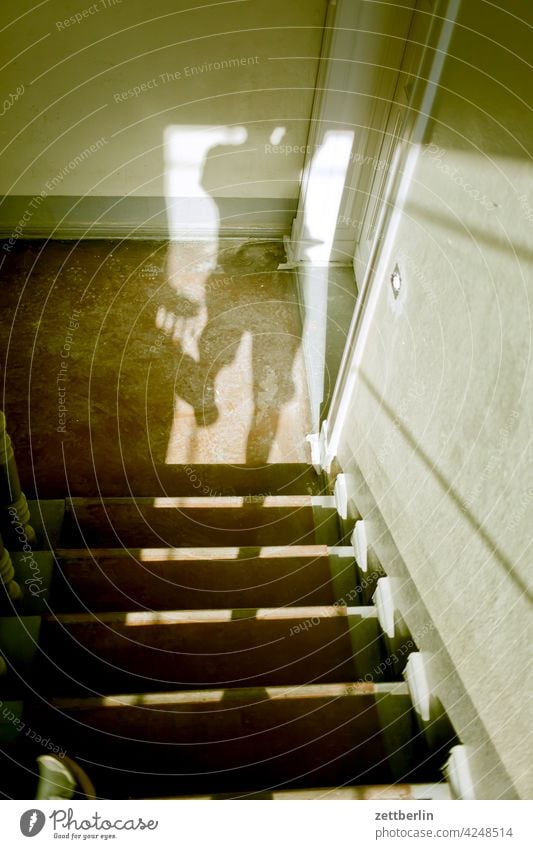 Shadow on the stairs sales Descent Downward Old building ascent Upward Window rail House (Residential Structure) Light Man Apartment house Human being Deserted
