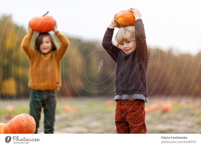 Two little boys having fun in a pumpkin patch halloween nature field park autumn fall family kids children together togetherness people happy smiling caucasian