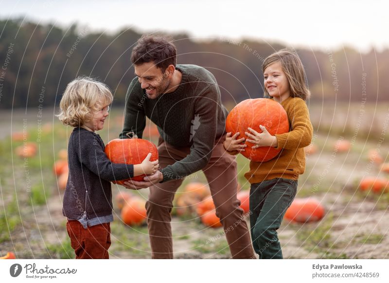 Father and sons in pumpkin patch field halloween nature park autumn fall man dad father family parent boy kids children together togetherness love people happy