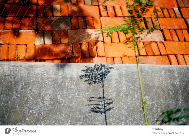 shadow plants on the wall architecture background block brick cement concrete construction exterior hole industry material old pattern rough stack structure