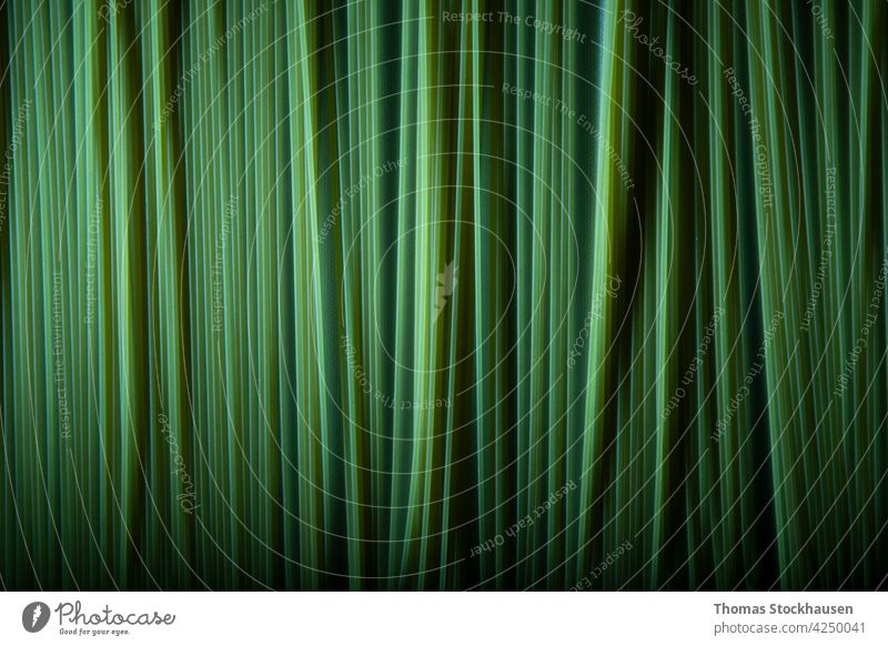green colored spaghetti in a row as background abstract art black closeup concept cooking copy crop cuisine culture delicious diet dinner dry eating food fresh