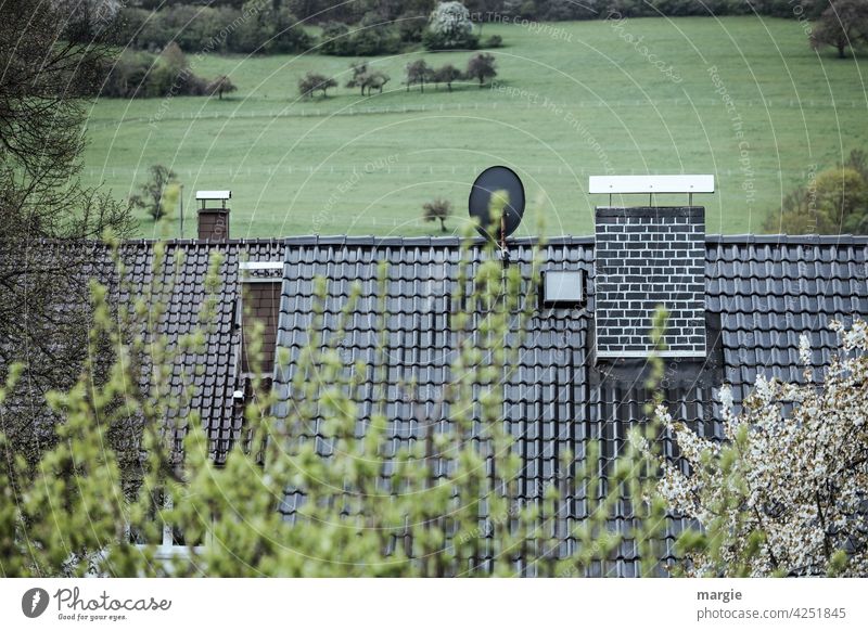 Roofs with chimneys and satellite dish, behind them meadows and forests House (Residential Structure) roofing tiles Chimney Satellite dish Antenna Exterior shot