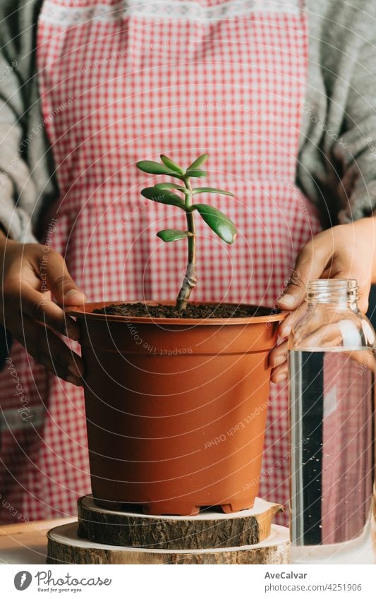 Woman holding a pot with a growing plant and a bottle of water peace biology cleaning climate change close up creativity development dna earth factory growth