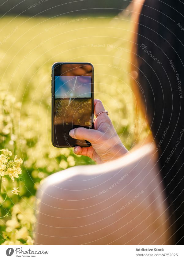 Crop faceless woman taking pictures of blossoming field take photo bloom flower smartphone photography meadow moment countryside mobile device lifestyle memory