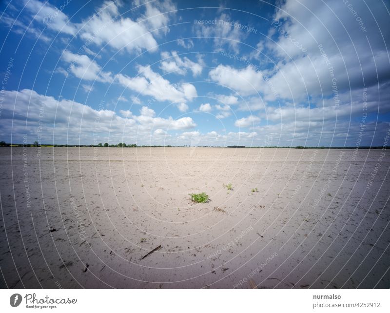 Brandenburg Steppe erosioin dry Sand aridity Climate change Spring go out Wind Agriculture