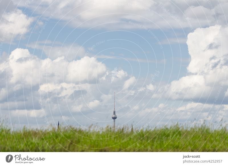 Berlin green space under a cloudy sky Meadow Grass Berlin TV Tower naturally Landmark Illusion Cloud formation Orientation Outstanding Perspective Sunlight