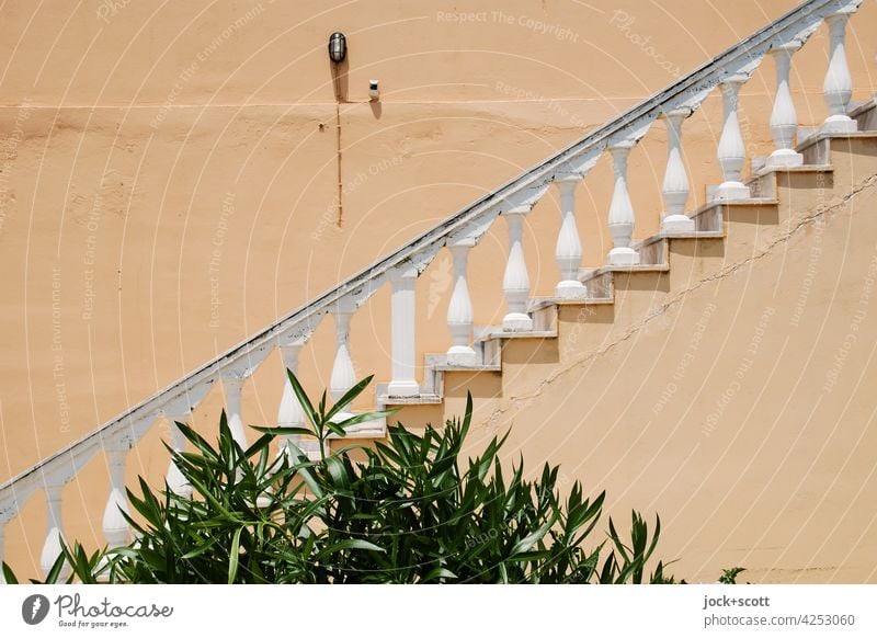Railing of a modern staircase in decorative antique style Banister Architecture Stairs shrub Ancient rail Corfu Greece Neutral Background Wall (building) Beige