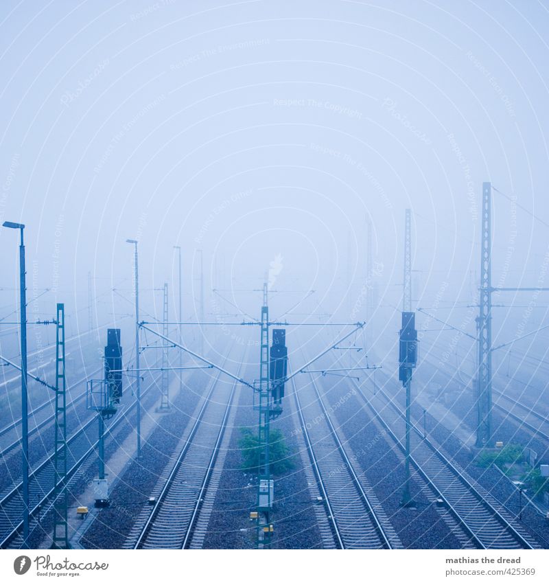 CUSSEL STREET - MORGENS Sky Clouds Fog Means of transport Traffic infrastructure Logistics Train travel Rail transport Railroad tracks Dark Cold Gloomy Line
