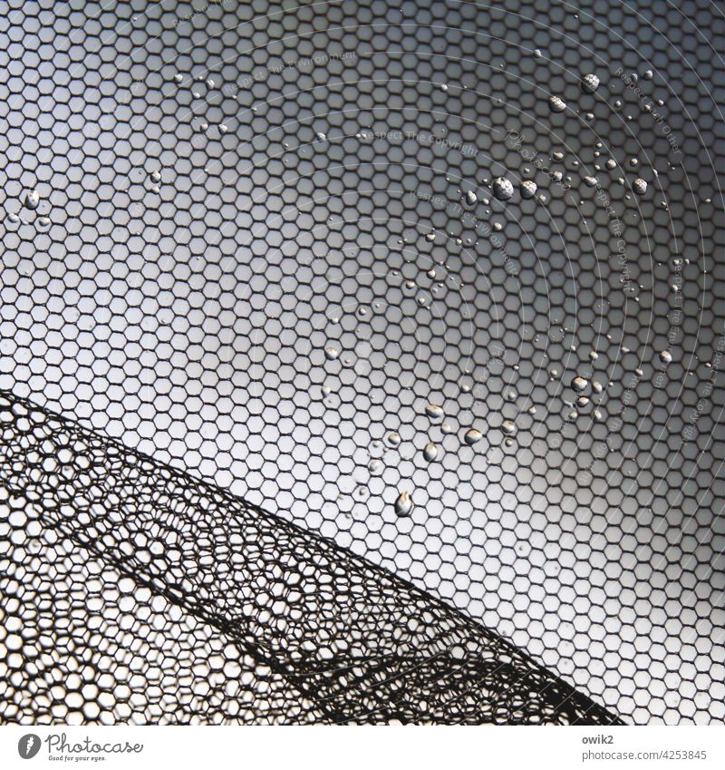 superimposed Gauze Net Gray Destruction Distorted Broken Black Drops of water Small Near Abstract Illuminate Glittering Contrast Detail Rain Wet Dew Deserted