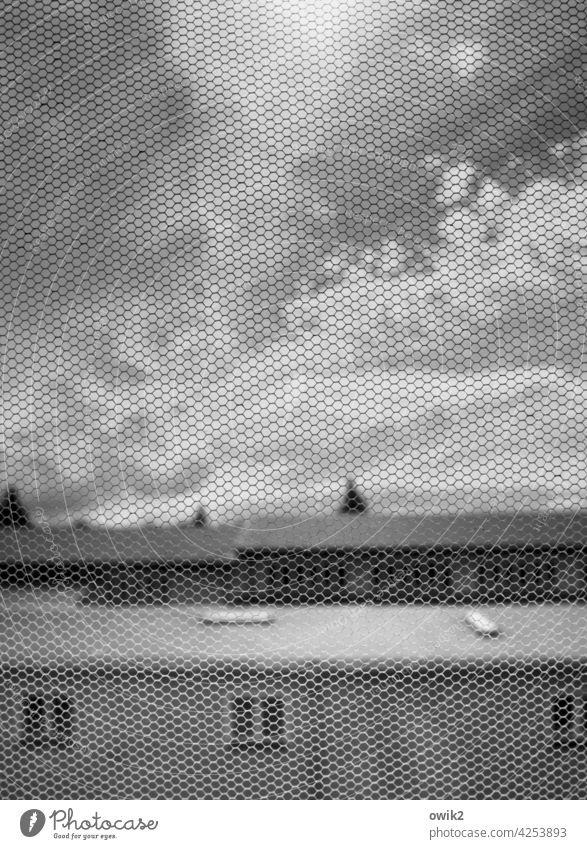 Blurred grey Net Macro (Extreme close-up) Close-up Window pane Interior shot Black & white photo Deserted Silhouette Contrast Long shot Structures and shapes