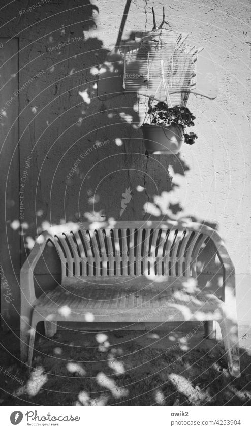 flown out Window seat Black & white photo Sunlight Bench Plastic Detail Contrast Light Simple Summer Past Shade of a tree Deciduous tree leaves Tree