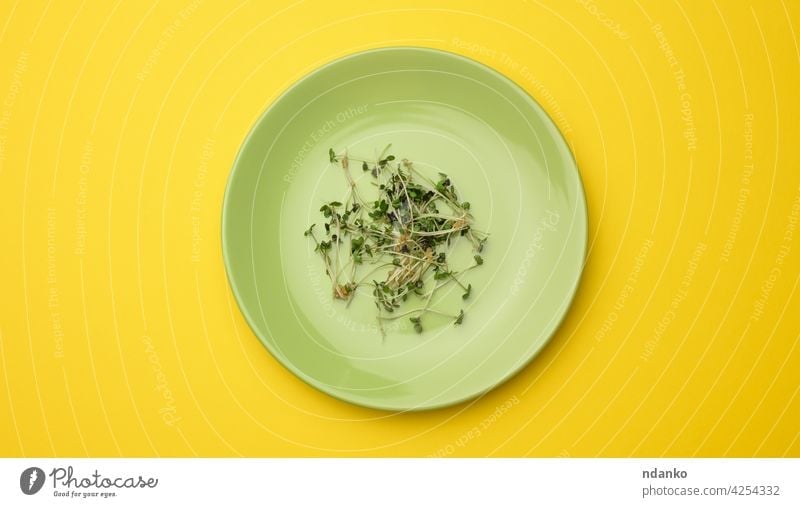 green sprouts of chia, arugula and mustard in a white round plate, top view. A healthy food supplement containing vitamins C, E and K yellow agriculture bio