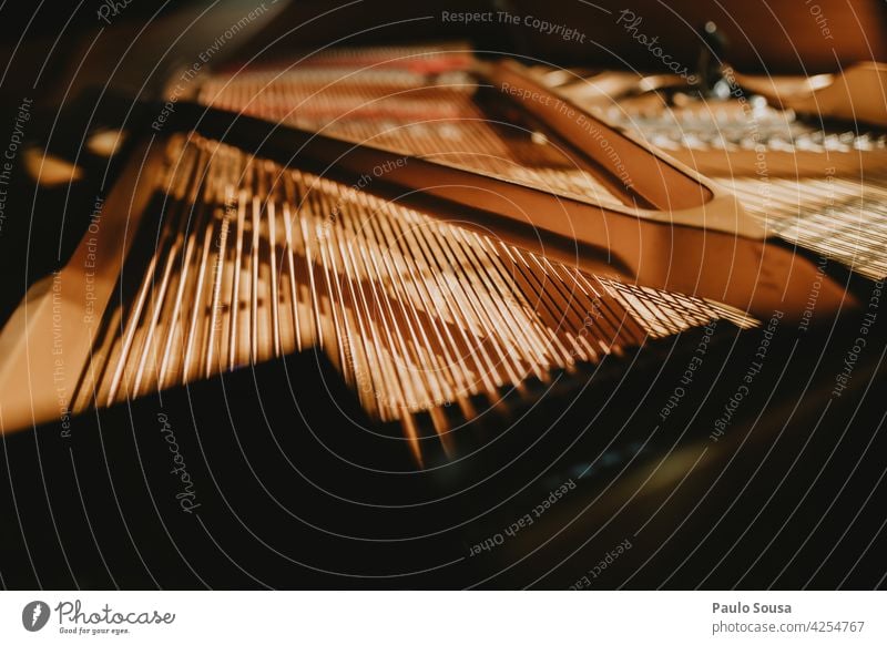 Close up piano strings Piano Piano lessons Piano stool Music Musical instrument Play piano Musician Concert Keyboard instrument Make music Colour photo Fingers