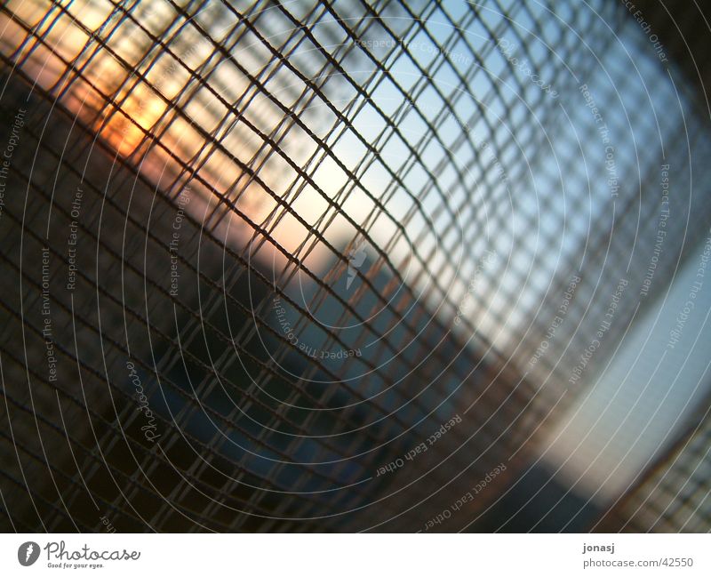 behind bars Grating Window Drape Photographic technology Sky Blue Sun Vantage point Sunset