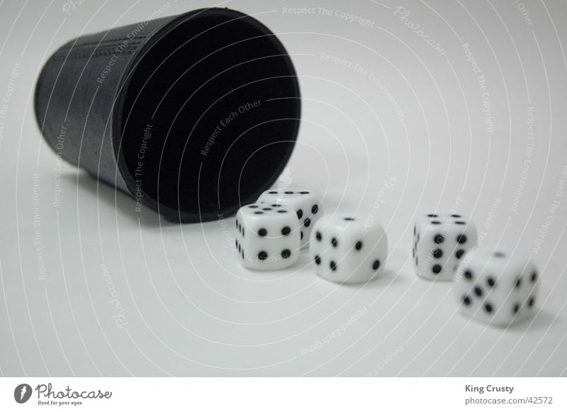dice cup Playing Kniffel Result Photographic technology Happy Decision full house Movement To fall Dice