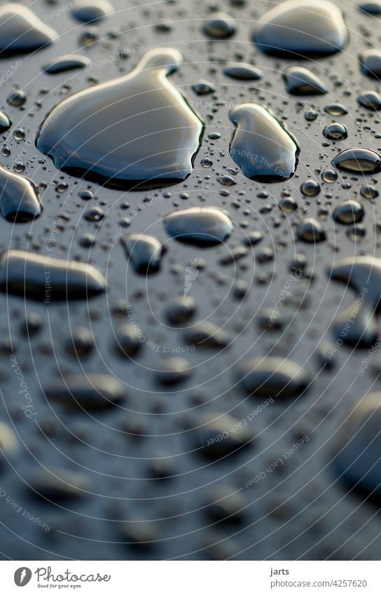 Water drops on a black metal surface Drop water pots Metal Precious metal Wet Close-up Drops of water Detail Rain Damp Reflection Glittering