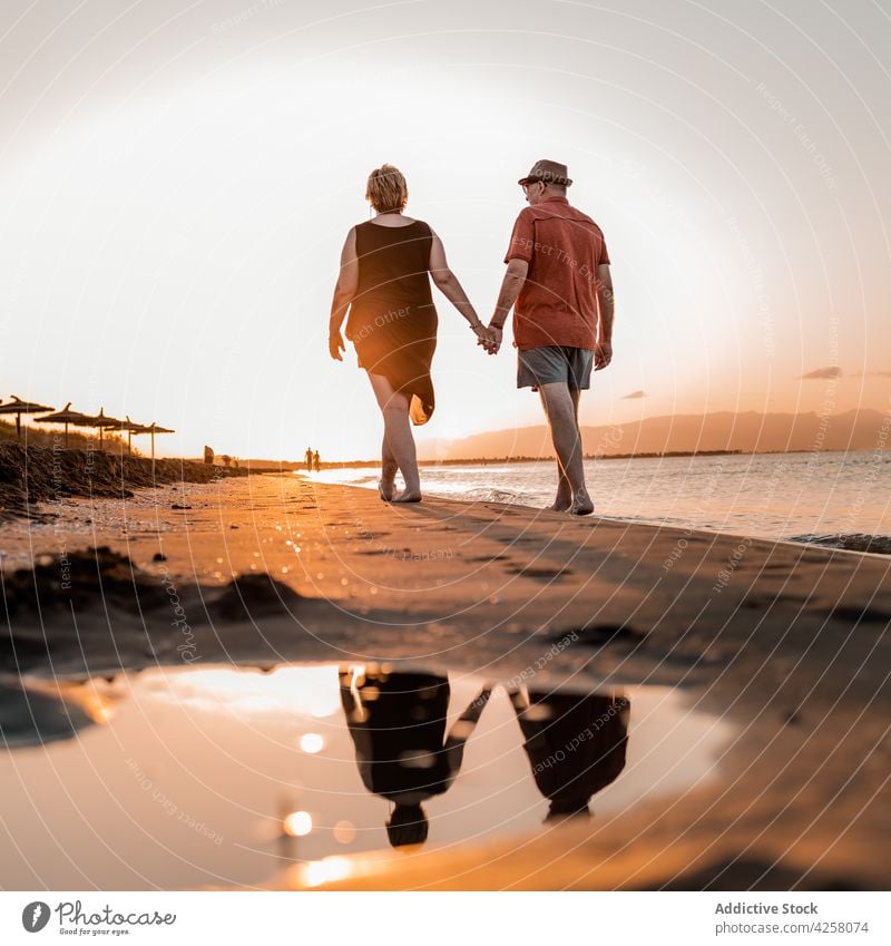 Anonymous couple strolling on sandy beach at sunset holding hands seacoast romantic seashore amour together sundown vacation summer barefoot twilight evening