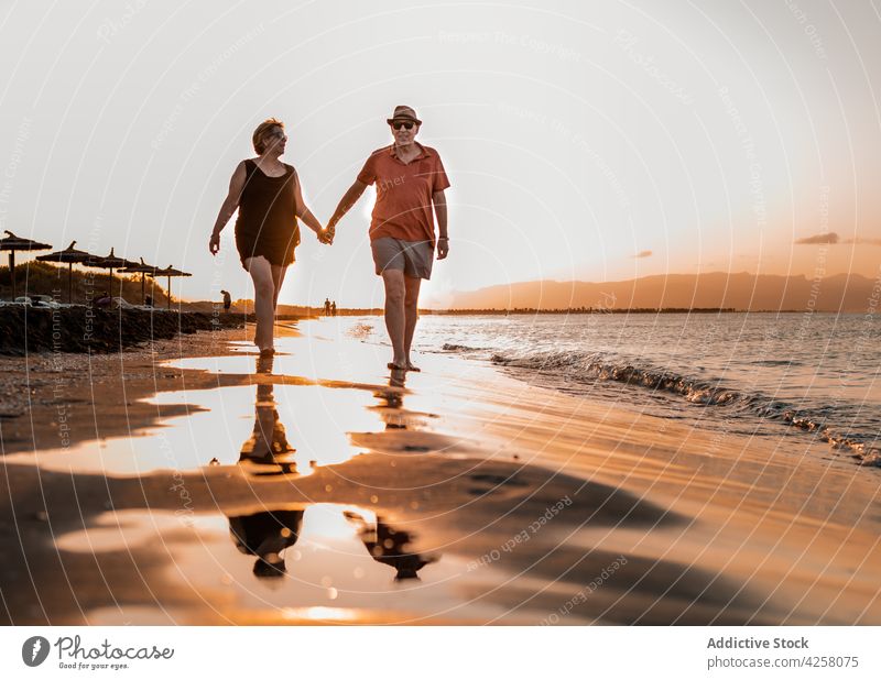 Couple strolling on sandy beach at sunset couple holding hands seacoast romantic seashore amour together sundown vacation summer barefoot twilight evening walk