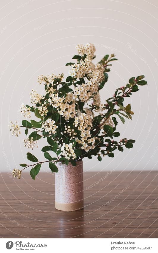 Flowering spirea in a small vase on a wooden table against a light background flower decoration blossoms Decoration white flowers White Pink Vase Wooden table