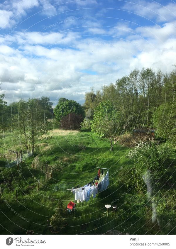 idyllic Meadow Grass Green Nature Landscape dry laundry clothesline idyllically Idyll out Exterior shot tranquillity Clean Laundry