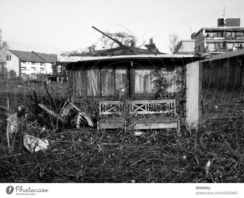 Old garden house before demolition in a former leafy colony on newly designated building land in Lage near Detmold in East Westphalia-Lippe, photographed in neo-realistic black and white