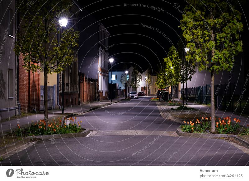 At night on the street, small side street with parked cars and tulips at the roadside at night Night Street streets Building Tree trees Germany Teltow-Fläming