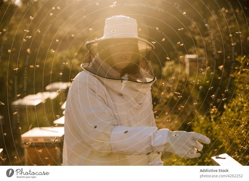 Female beekeeper working in apiary in sunny day woman field uniform protect mask costume adult worker safety green nature countryside professional