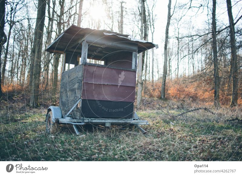 shooting range Hunter Hunting stand Forest Nature Wild animals Wildlife Hunting Blind off the beaten track Wood Carriage booth hunting hunter Rifle Sagittarius