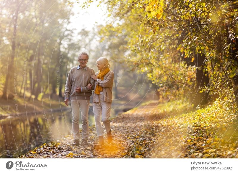 Senior couple in autumn park family woman love people outdoors portrait together nature two beautiful fall trees yellow senior mature seniors pensioner