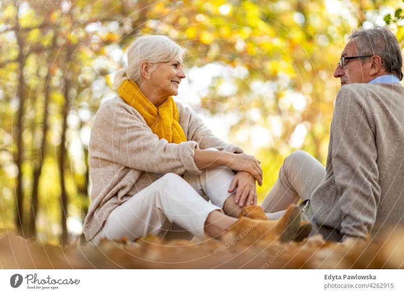 Senior couple in autumn park family woman love people outdoors portrait together nature two beautiful fall trees yellow senior mature seniors pensioner