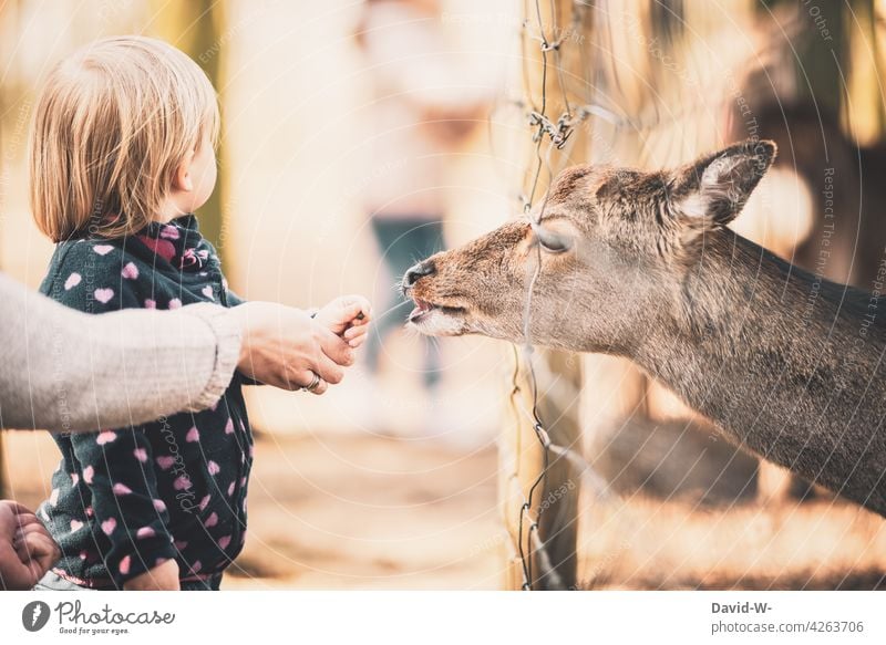 Mother and child feeding an animal - a Royalty Free Stock Photo from  Photocase