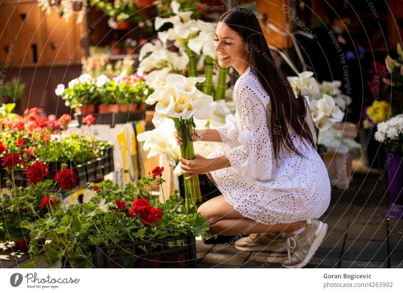Young woman buying flowers at the flower market beauty beautiful shopping young green portrait customer gardening nature store plant adult dress youth spring