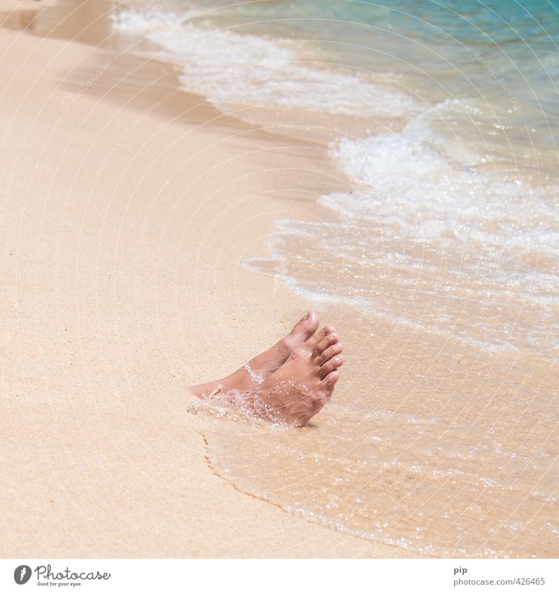 flotsam and jetsam Human being Feet Toes Nature Sand Water Summer Beautiful weather Waves Coast Beach Ocean Exotic Funny Bizarre Vacation & Travel