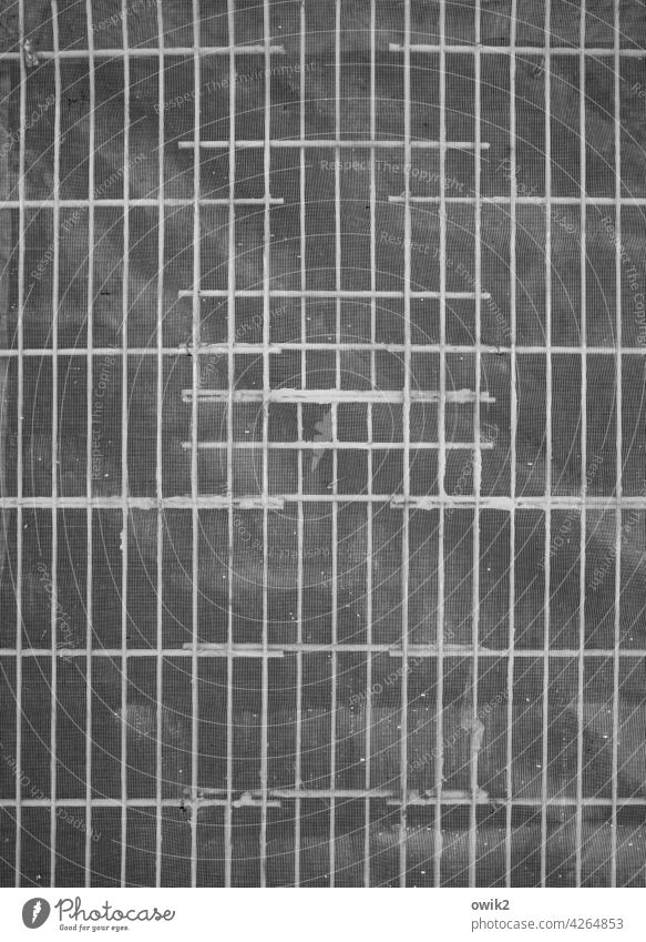 Structure Grating Surface structure Close-up Metal Wood door Structures and shapes Abstract Pattern Deserted Exterior shot Detail Black & white photo Metalware